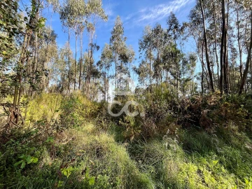 Terreno para Venda em Caldas da Rainha - Santo Onofre e Serra do Bouro