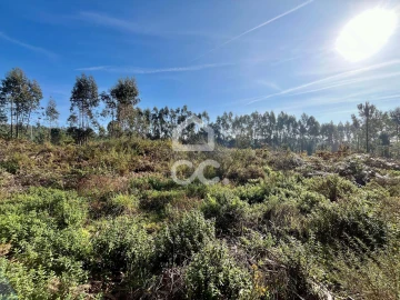 Terreno para Venda em Caldas da Rainha - Santo Onofre e Serra do Bouro