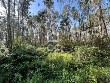 Terreno para Venda em Caldas da Rainha - Santo Onofre e Serra do Bouro