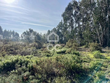 Terreno para Venda em Caldas da Rainha - Santo Onofre e Serra do Bouro