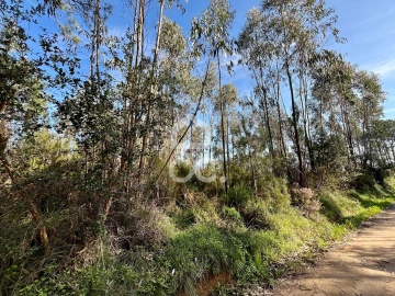 Terreno para Venda em Caldas da Rainha - Santo Onofre e Serra do Bouro