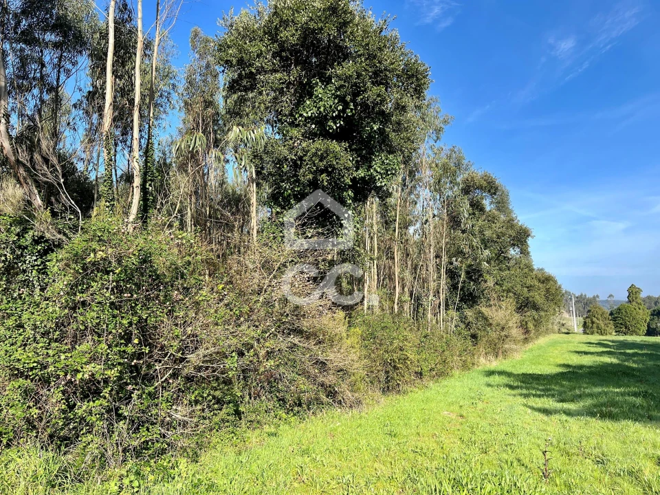 Terreno para Venda em Caldas da Rainha - Santo Onofre e Serra do Bouro Foto 2