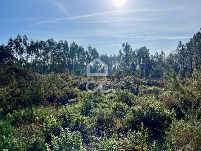 Terreno para Venda em Caldas da Rainha - Santo Onofre e Serra do Bouro Foto 16