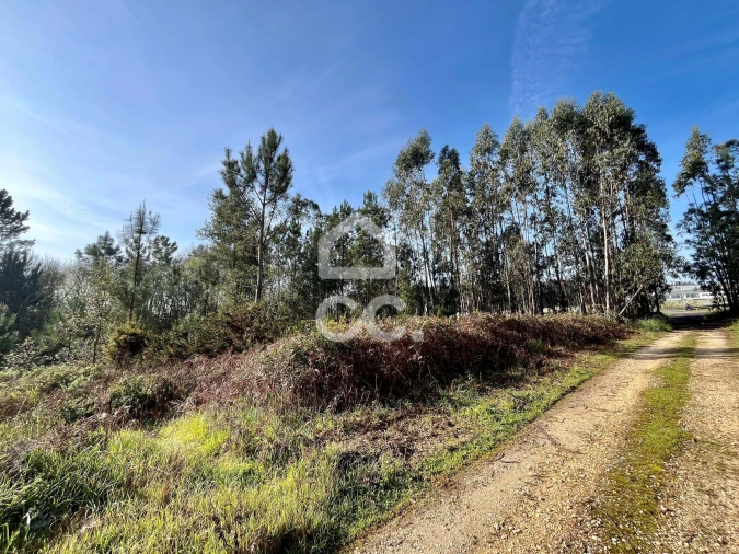 Terreno para Venda em Caldas da Rainha - Santo Onofre e Serra do Bouro Foto 13