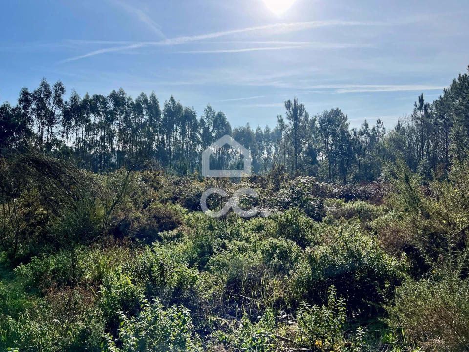 Terreno para Venda em Caldas da Rainha - Santo Onofre e Serra do Bouro Foto 16