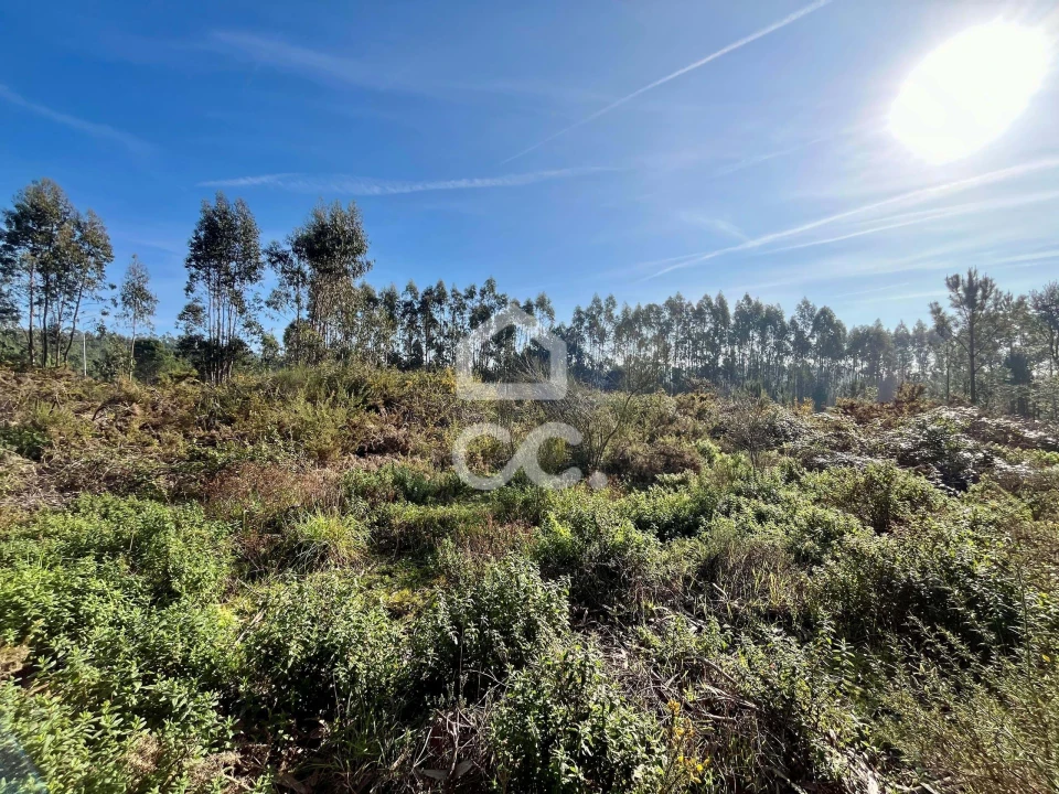 Terreno para Venda em Caldas da Rainha - Santo Onofre e Serra do Bouro Foto 14