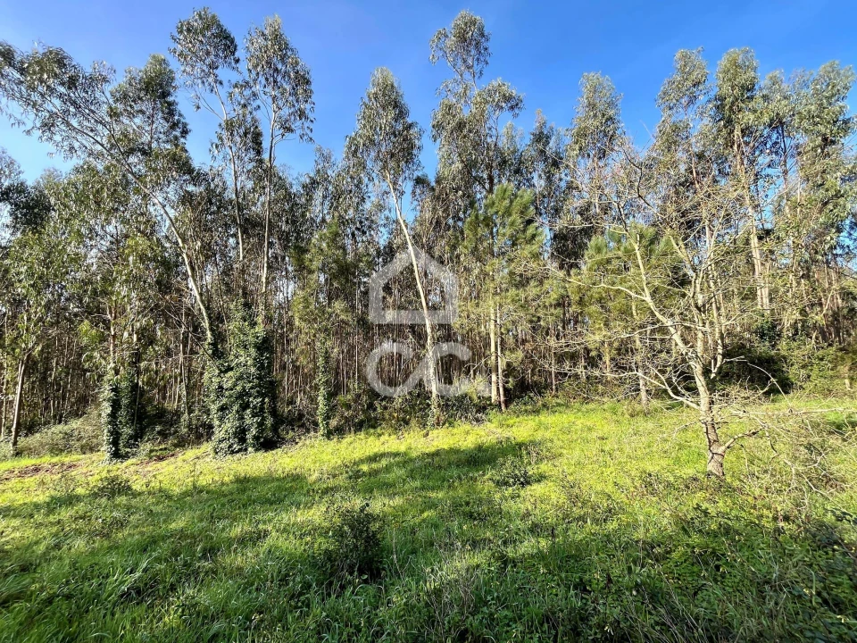 Terreno para Venda em Caldas da Rainha - Santo Onofre e Serra do Bouro Foto 12