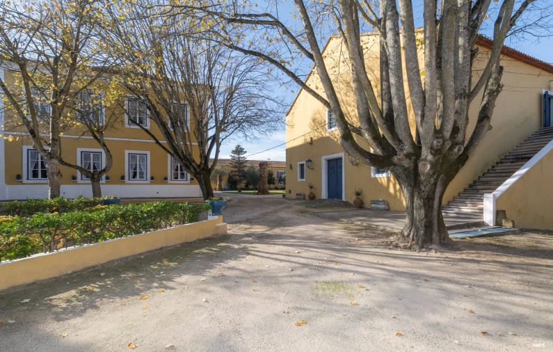 Quinta T25 para Venda em Valado dos Frades Foto 43