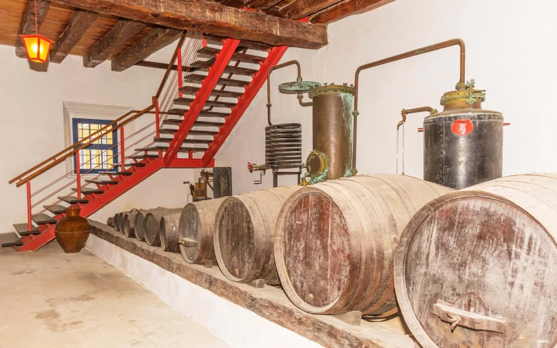 Quinta T25 para Venda em Valado dos Frades Foto 30