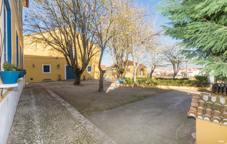 Quinta T25 para Venda em Valado dos Frades Foto 42