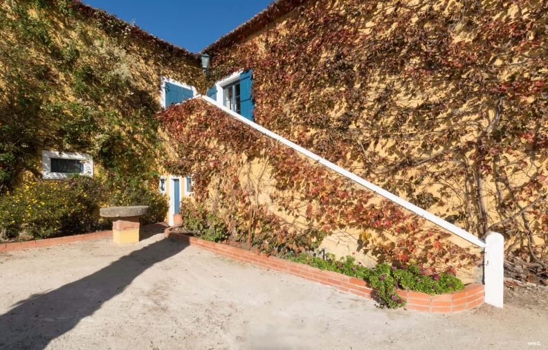 Quinta T25 para Venda em Valado dos Frades Foto 5