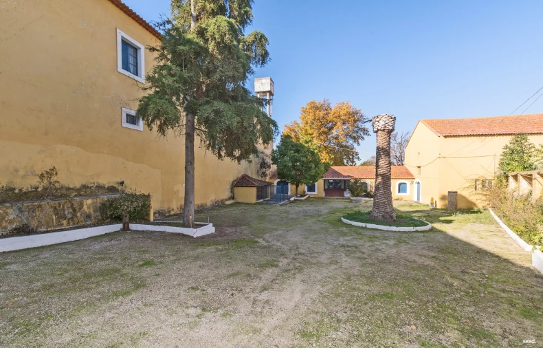 Quinta T25 para Venda em Valado dos Frades Foto 25