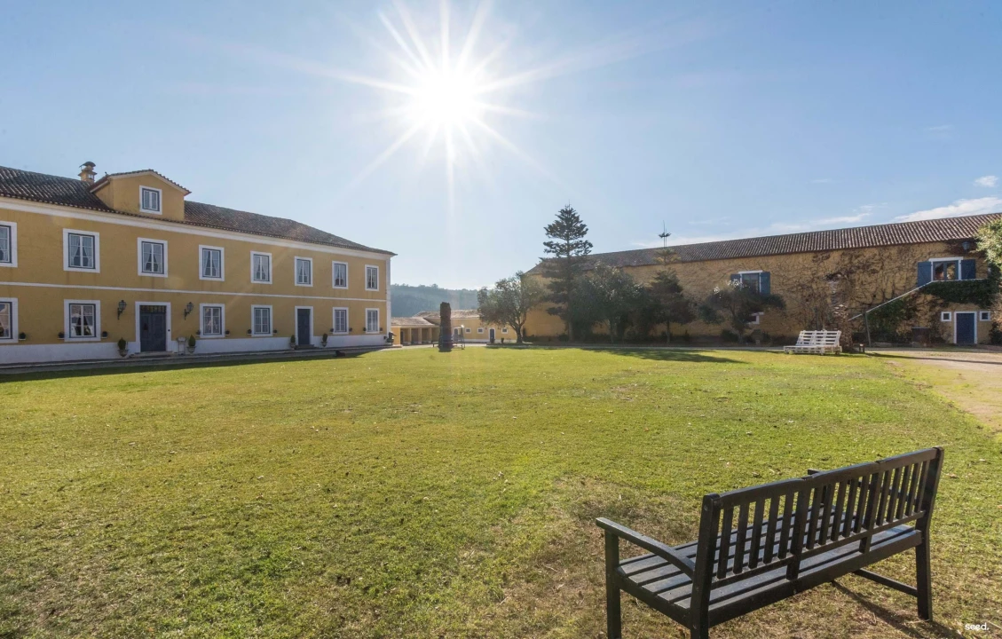 Quinta T25 para Venda em Valado dos Frades Foto 10