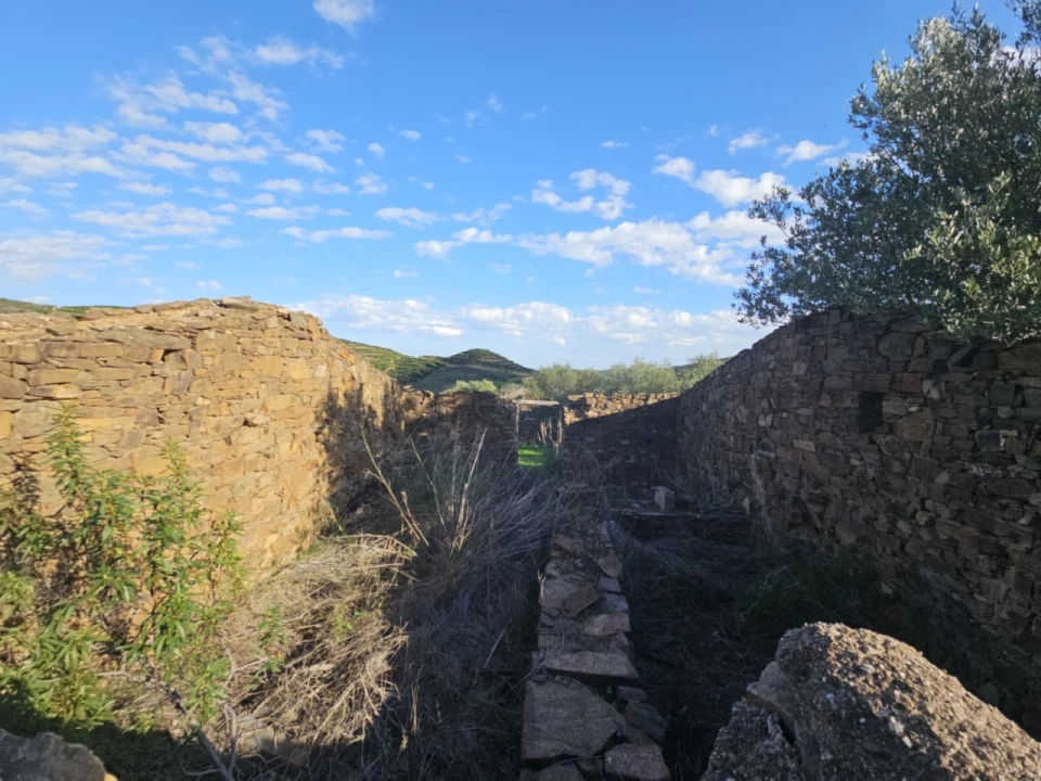 Terreno para Venda em Luz de Tavira e Santo Estêvão Foto 5