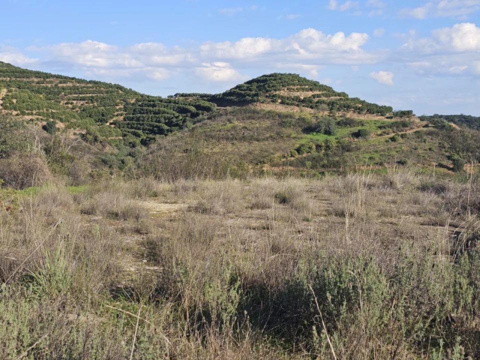 Terreno para Venda em Luz de Tavira e Santo Estêvão Foto 13