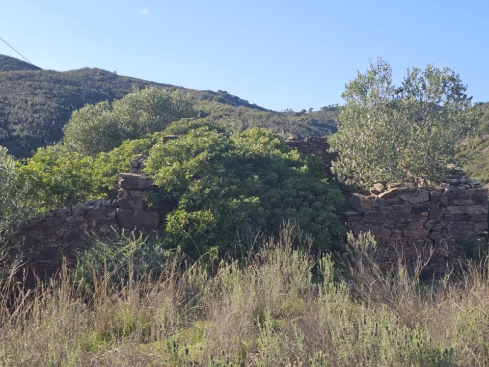 Terreno para Venda em Luz de Tavira e Santo Estêvão Foto 14