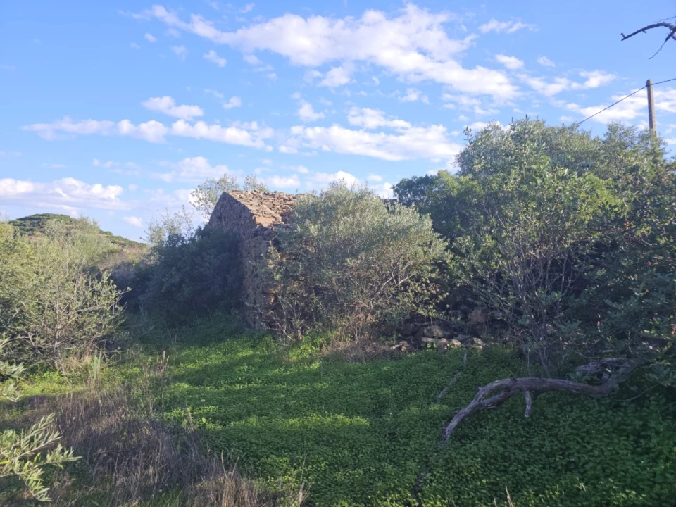 Terreno para Venda em Luz de Tavira e Santo Estêvão Foto 15