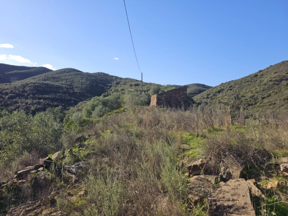 Terreno para Venda em Luz de Tavira e Santo Estêvão Foto 21
