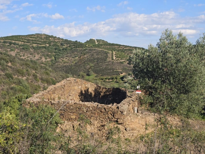 Terreno para Venda em Luz de Tavira e Santo Estêvão Foto 4