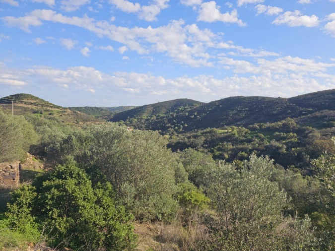 Terreno para Venda em Luz de Tavira e Santo Estêvão Foto 22