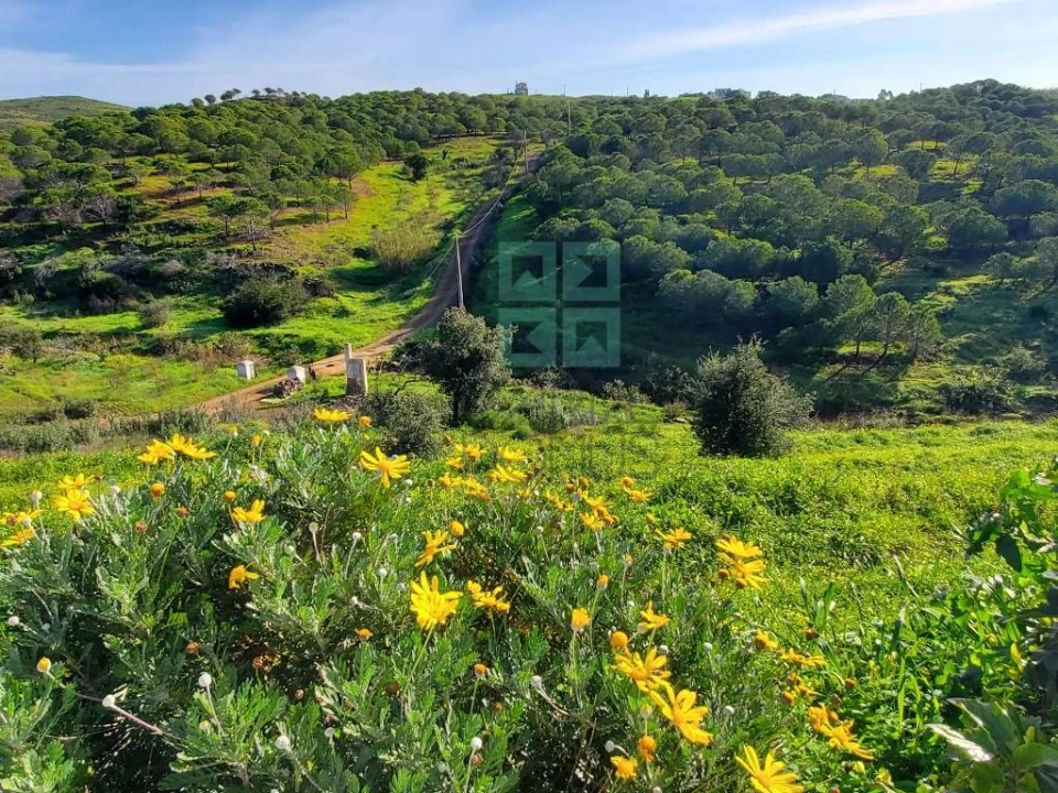 Moradia T4 para Venda em Conceição e Cabanas de Tavira Foto 20