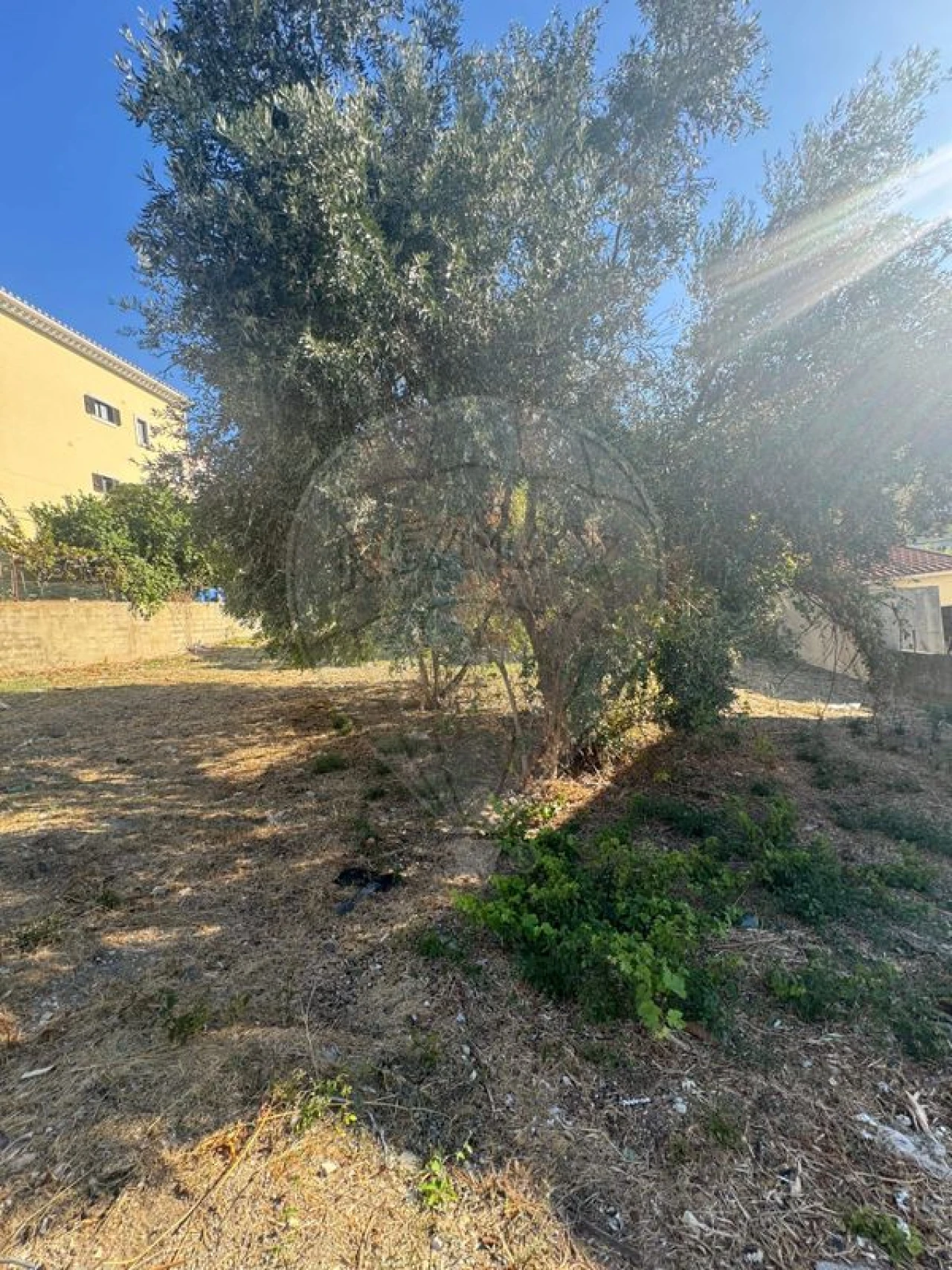 Terreno para Venda em Alhandra, São João dos Montes e Calhandriz Foto 5