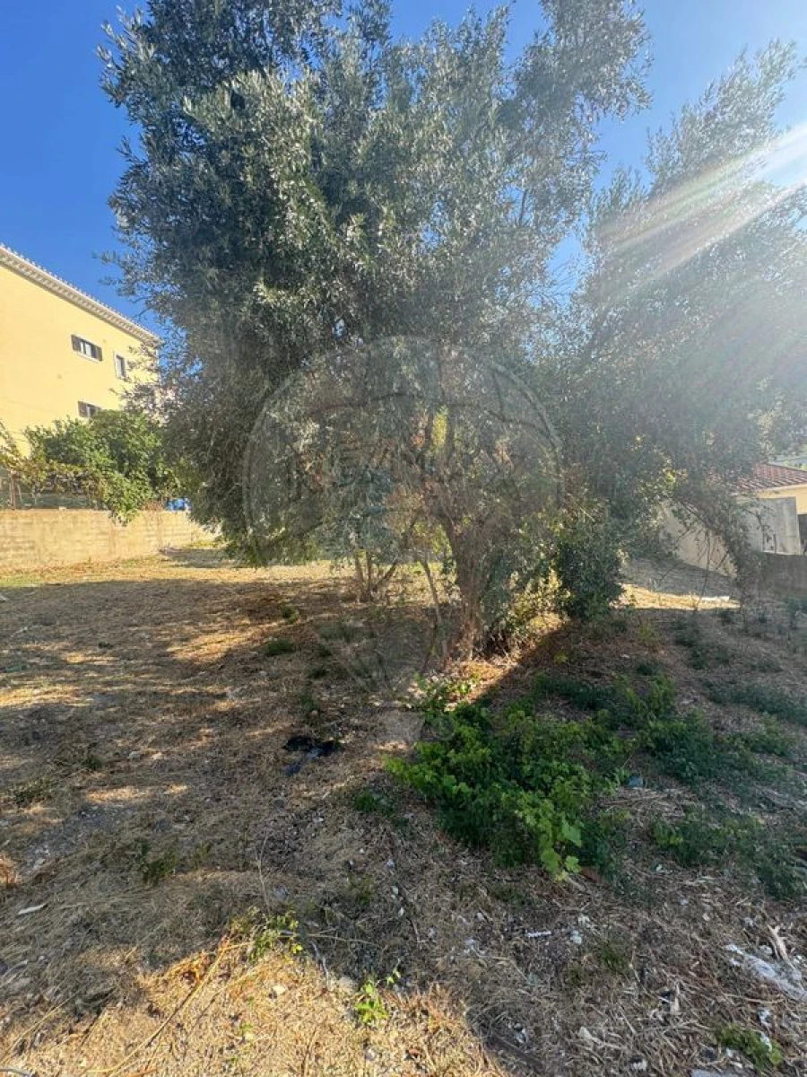 Terreno para Venda em Alhandra, São João dos Montes e Calhandriz Foto 5