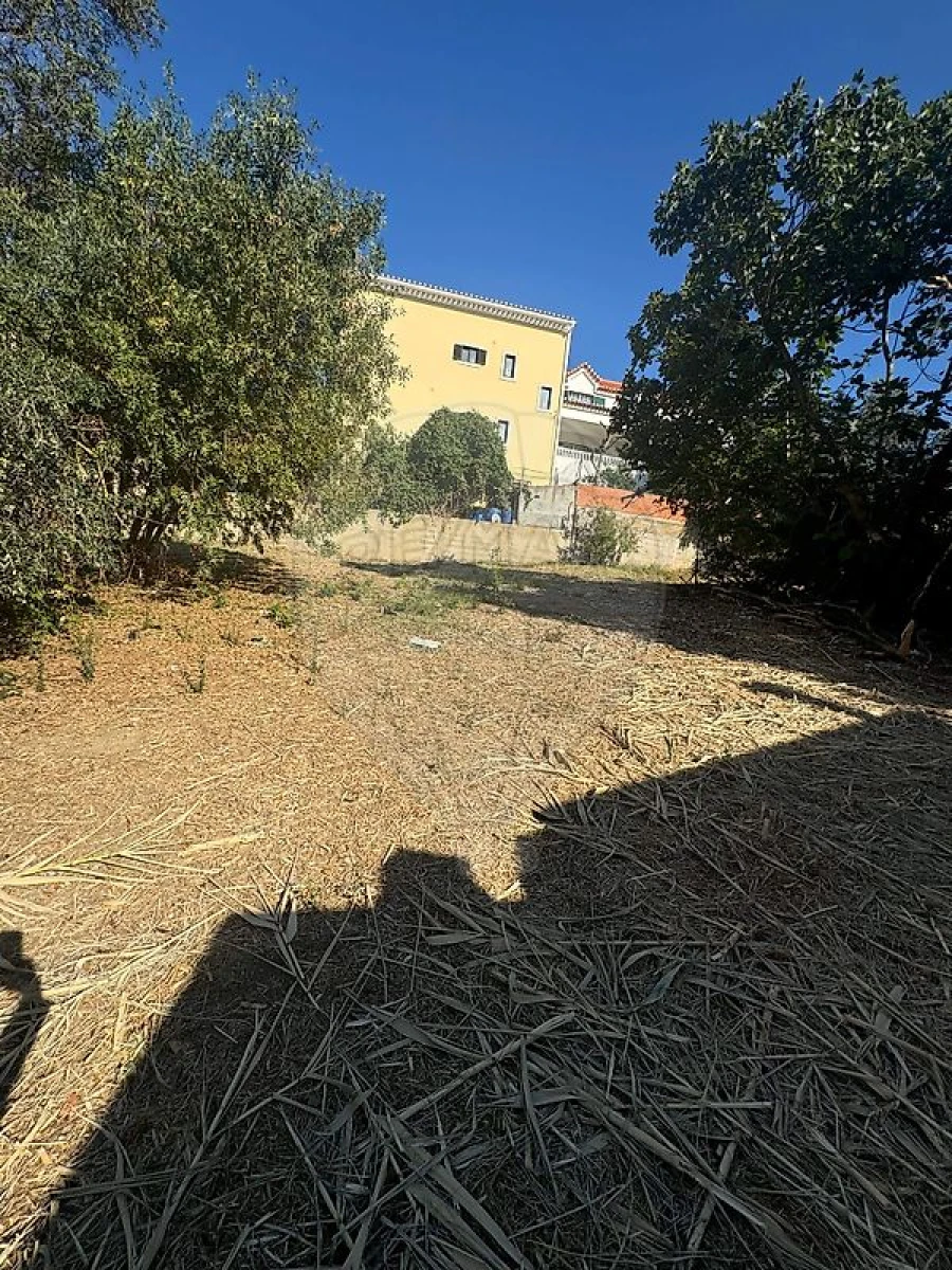 Terreno para Venda em Alhandra, São João dos Montes e Calhandriz Foto 6
