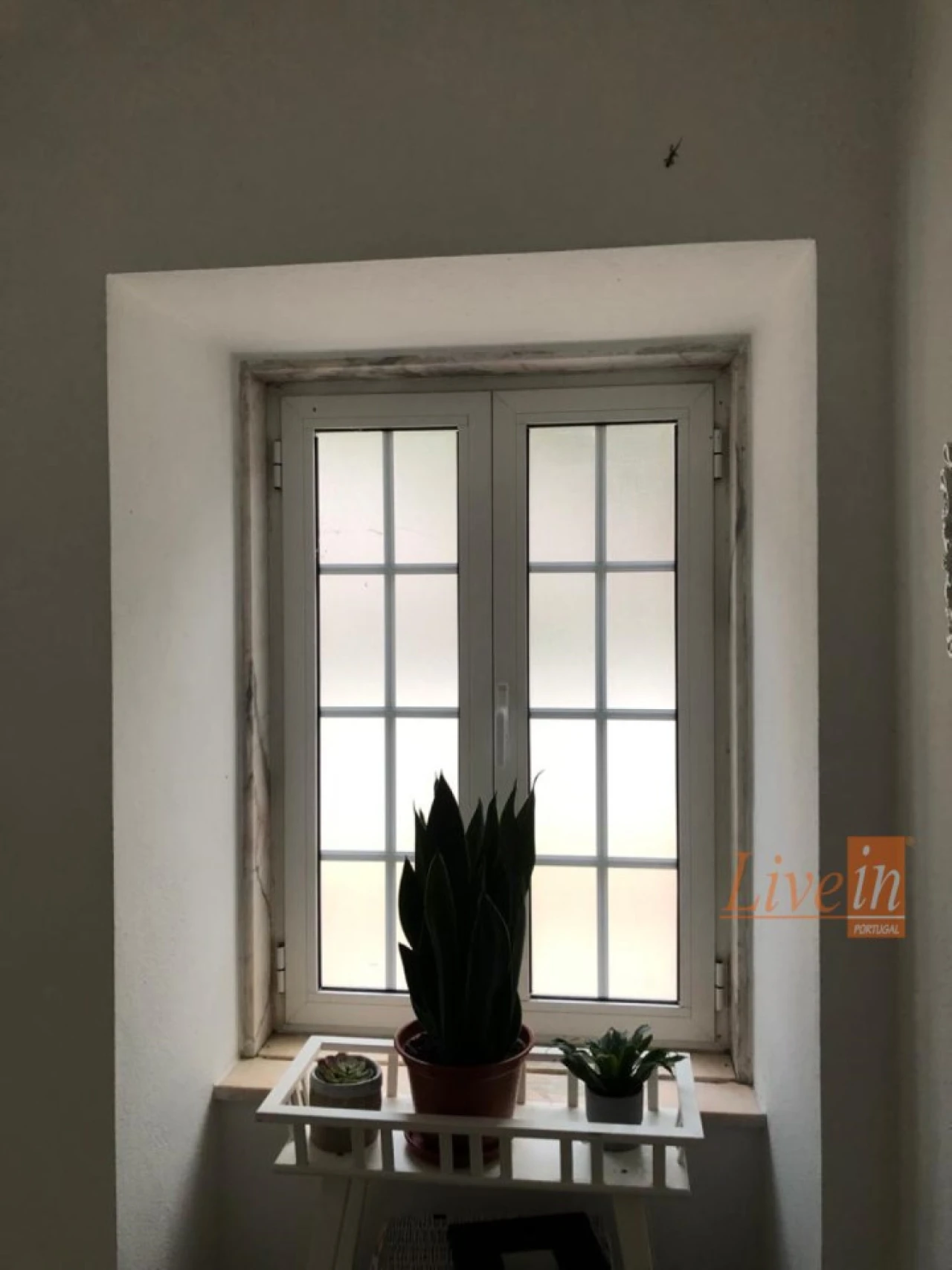 Moradia T4 para Venda em Ribafria e Pereiro de Palhacana Foto 29