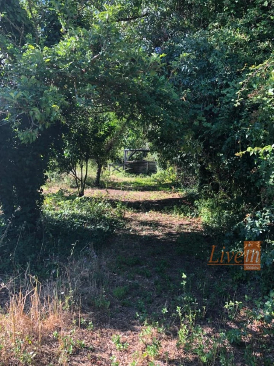 Moradia T4 para Venda em Ribafria e Pereiro de Palhacana Foto 5