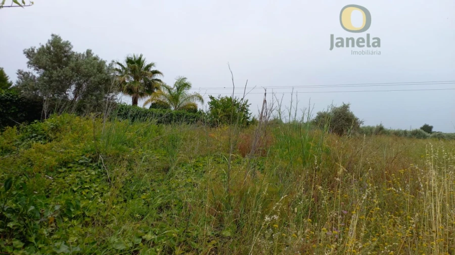 Moradia para Venda em Conceição e Estoi Foto 2