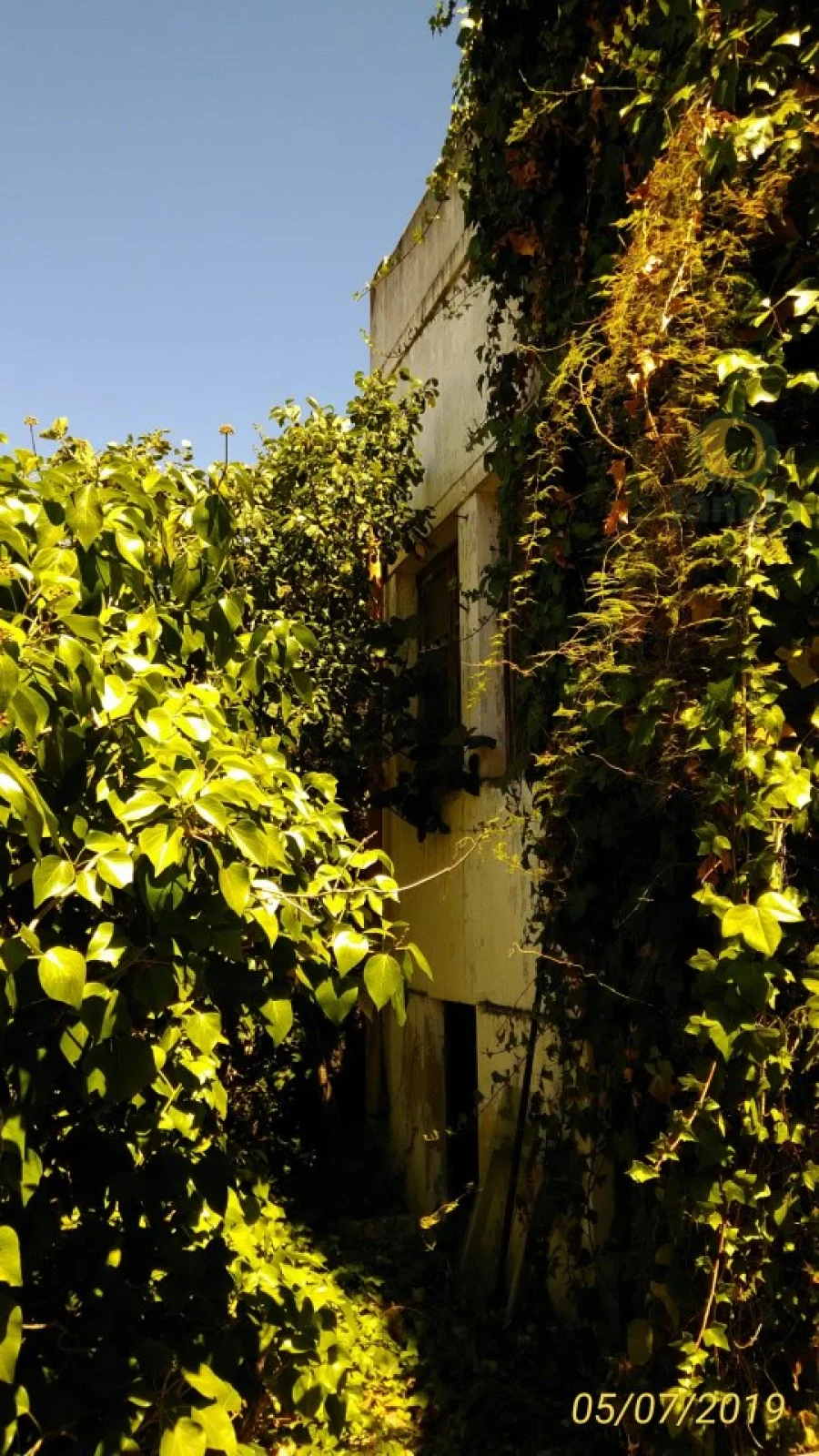 Moradia T7 para Venda em Quelfes Foto 4