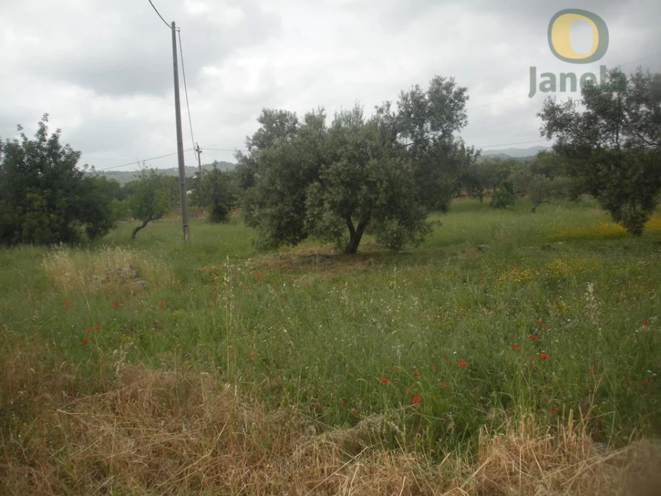 Moradia T4 para Venda em Santa Catarina da Fonte do Bispo Foto 10