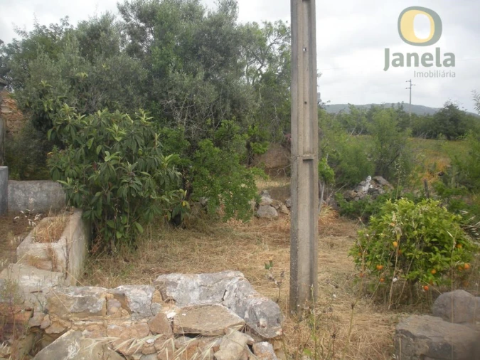 Moradia T4 para Venda em Santa Catarina da Fonte do Bispo Foto 7