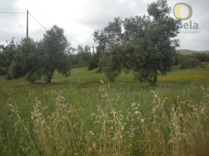 Moradia T4 para Venda em Santa Catarina da Fonte do Bispo Foto 9