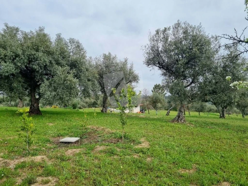 Quinta T2 para Venda em Aldeia do Bispo, Águas e Aldeia de João Pires Foto 58