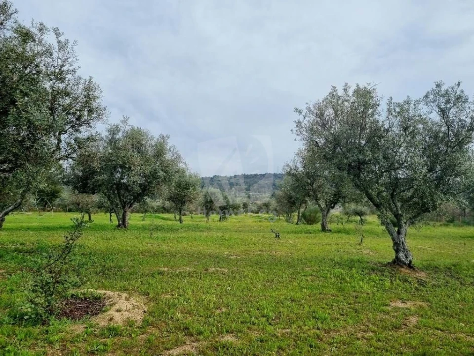 Quinta T2 para Venda em Aldeia do Bispo, Águas e Aldeia de João Pires Foto 49