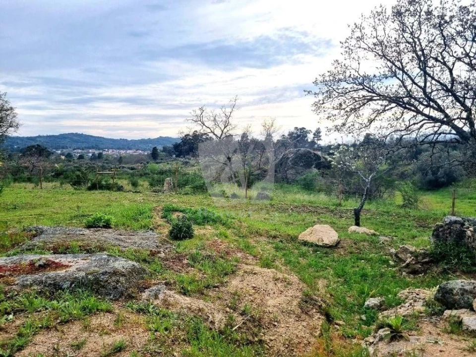 Quinta T2 para Venda em Aldeia do Bispo, Águas e Aldeia de João Pires Foto 50
