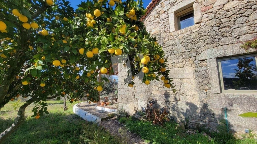 Quinta T2 para Venda em Aldeia do Bispo, Águas e Aldeia de João Pires Foto 3