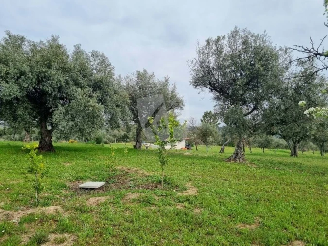 Quinta T2 para Venda em Aldeia do Bispo, Águas e Aldeia de João Pires Foto 58