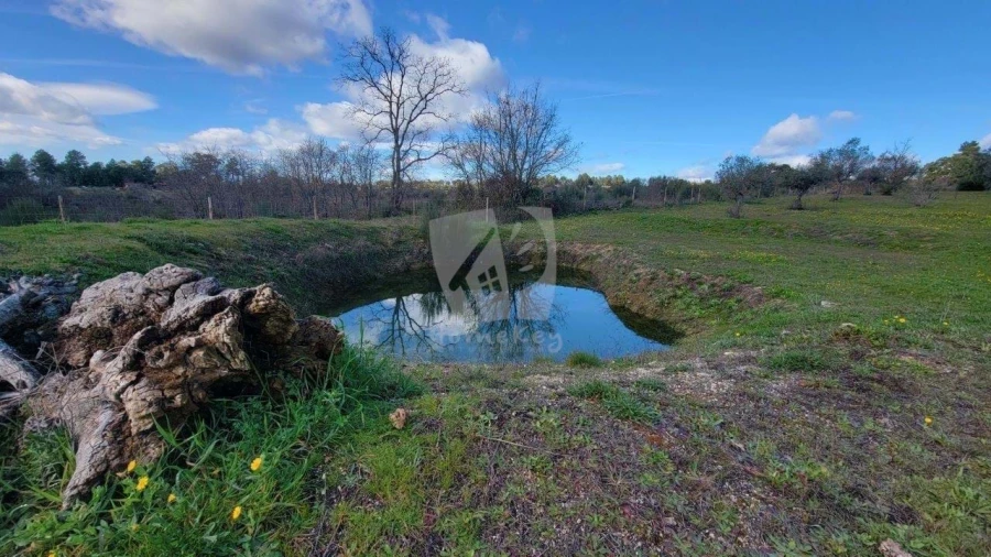 Quinta T2 para Venda em Aldeia do Bispo, Águas e Aldeia de João Pires Foto 56
