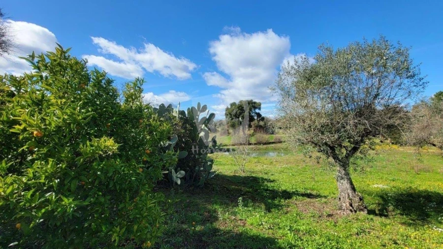 Quinta T2 para Venda em Aldeia do Bispo, Águas e Aldeia de João Pires Foto 38
