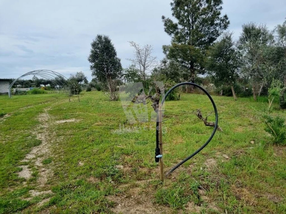 Quinta T2 para Venda em Aldeia do Bispo, Águas e Aldeia de João Pires Foto 47
