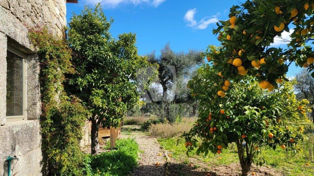 Quinta T2 para Venda em Aldeia do Bispo, Águas e Aldeia de João Pires Foto 41