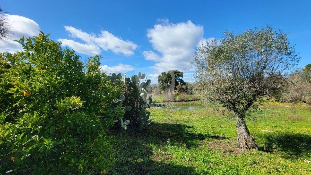 Quinta T2 para Venda em Aldeia do Bispo, Águas e Aldeia de João Pires Foto 38