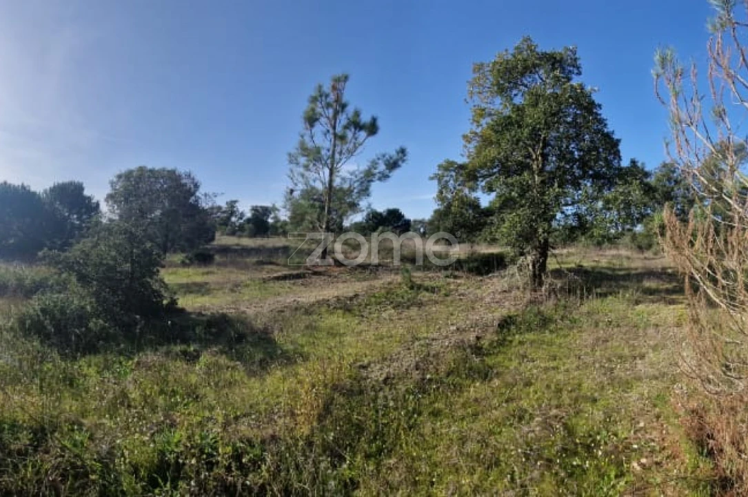 Terreno para Venda em Pegões Foto 20