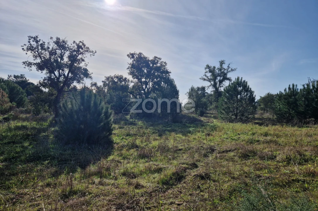 Terreno para Venda em Pegões Foto 14