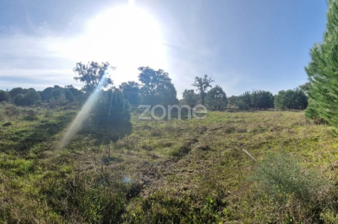 Terreno para Venda em Pegões Foto 19