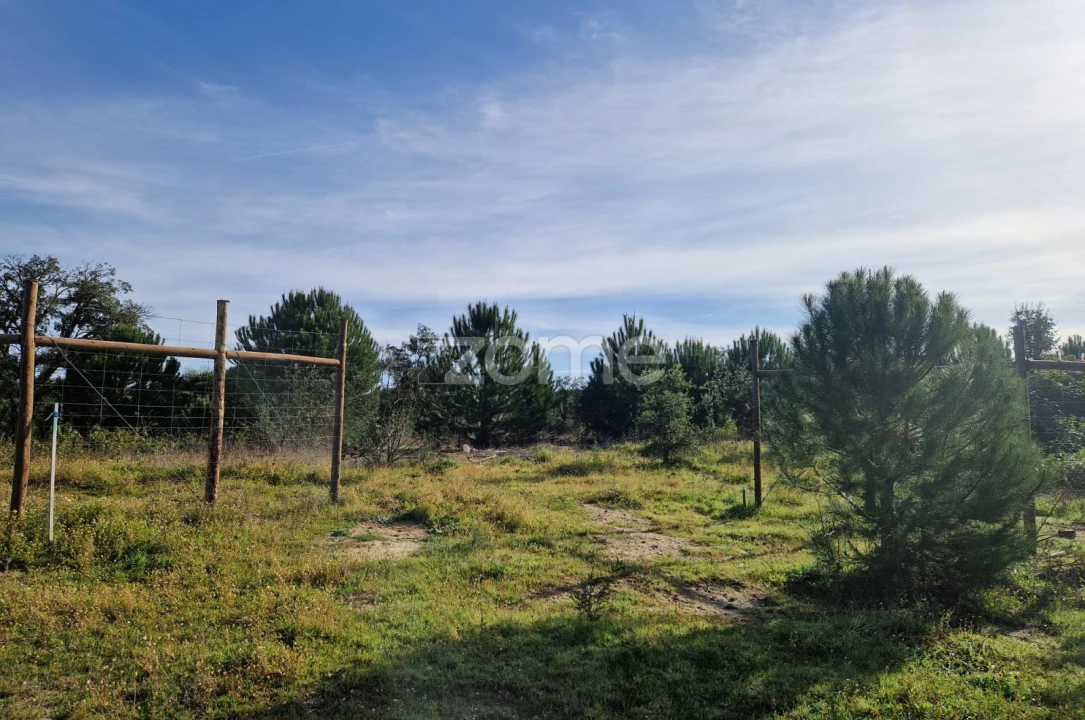Terreno para Venda em Pegões Foto 16