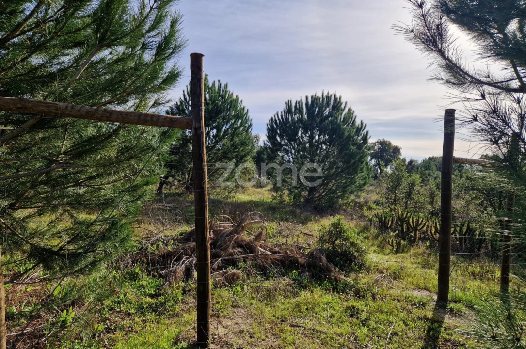 Terreno para Venda em Pegões Foto 6
